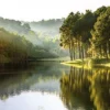 Bild WALD & SEE P