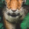 Bild WALKING TIGER