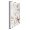 Bild WHITE ROSES