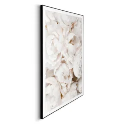 Bild WHITE ROSES