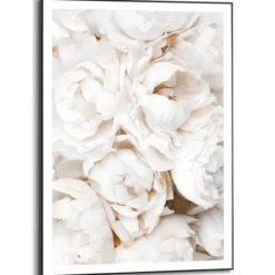 Bild WHITE ROSES