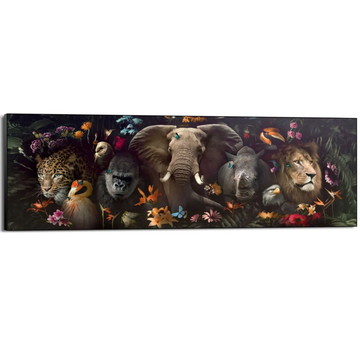 Bild WILDLIFE DREAM