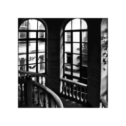 Bild WINDOWS