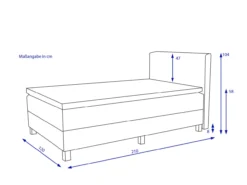 Boxbett GLORIA