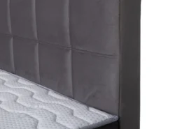 Boxbett WIETA