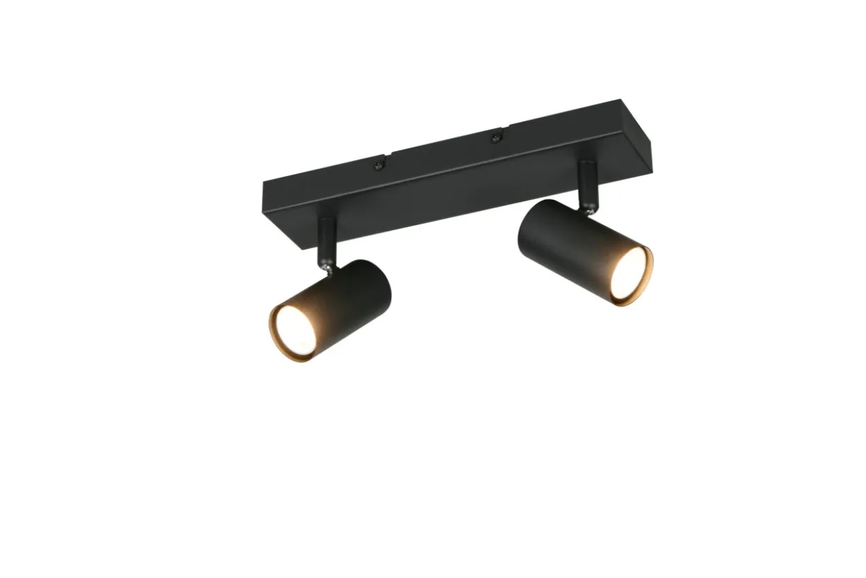 Deckenspot TARYN 2-flammig