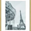 Fotorahmen PREMIUM gold
