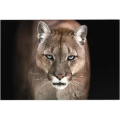Glasbild COUGAR