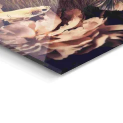 Glasbild JUNGLE LION