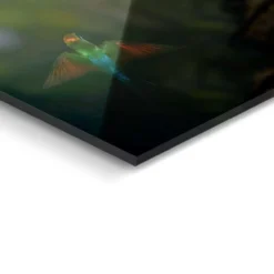 Glasbild JUNGLE PLAYERS