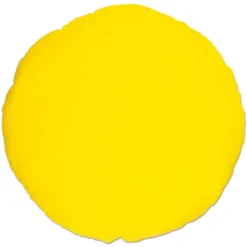 Kissen BVB