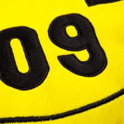 Kissen BVB