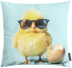 Kissen TWEETY