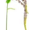 Kunstblume AMARANTHUSZWEIG