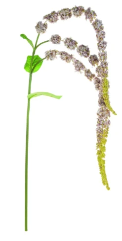 Kunstblume AMARANTHUSZWEIG