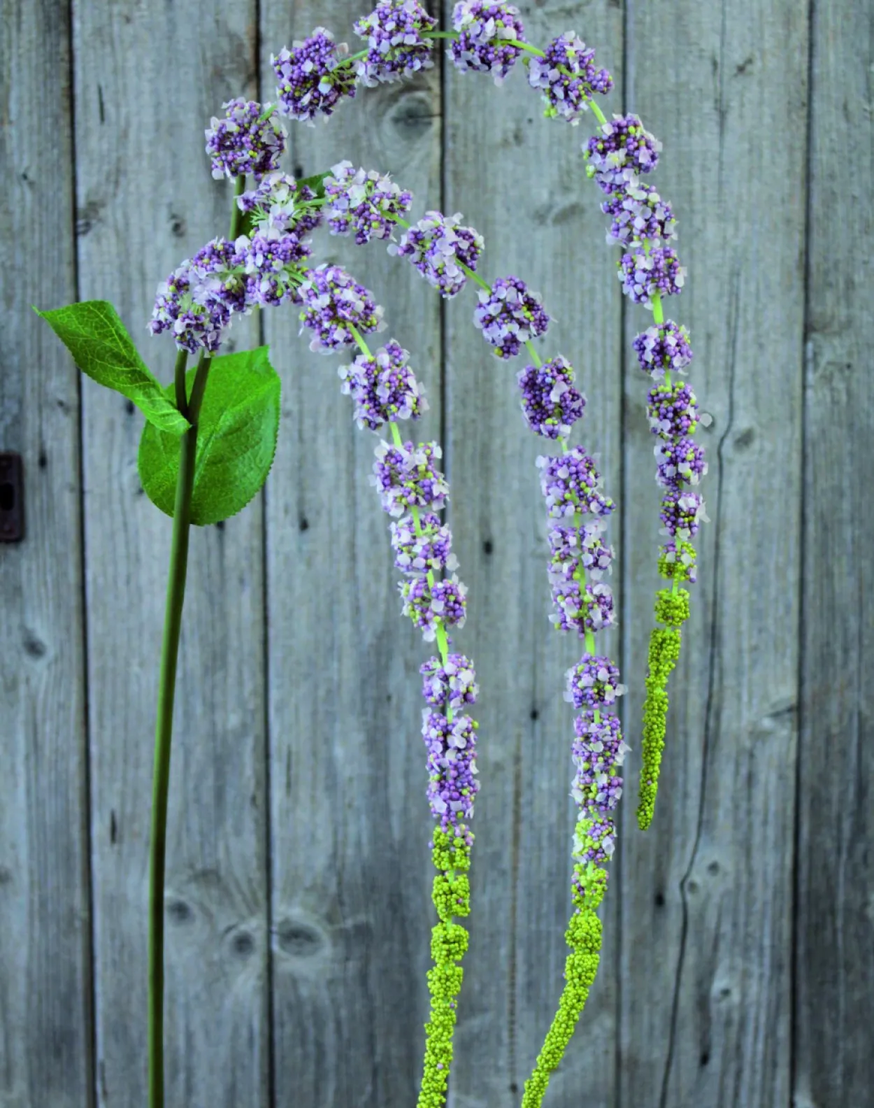 Kunstblume AMARANTHUSZWEIG