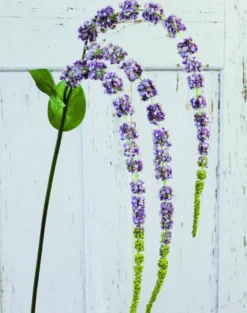 Kunstblume AMARANTHUSZWEIG