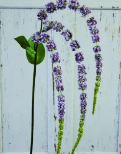 Kunstblume AMARANTHUSZWEIG