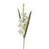 Kunstblume GLADIOLUS