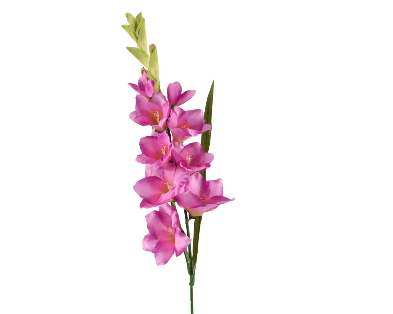 Kunstblume GLADIOLUS