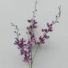 Kunstblume ORCHIDEE