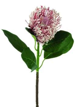 Kunstblume PROTEA