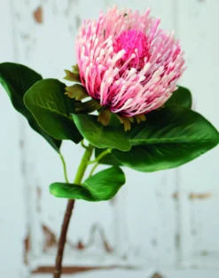 Kunstblume PROTEA