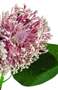 Kunstblume PROTEA