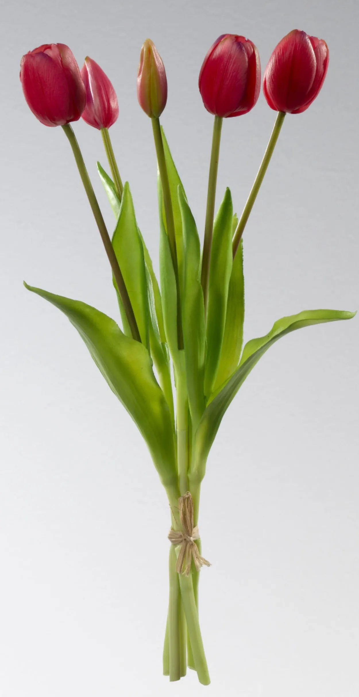 Kunstblume TULPENBUND