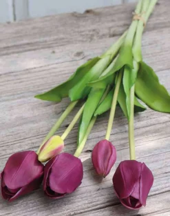 Kunstblume TULPENBUND