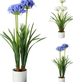 Kunstpflanze AGAPANTHUS