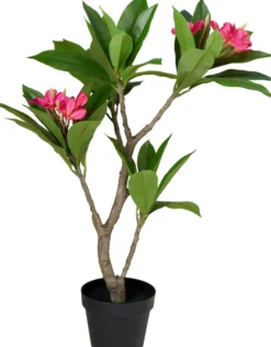 Kunstpflanze FRANGIPANI
