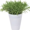 Kunstpflanze PLANT