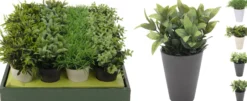 Kunstpflanze PLANT
