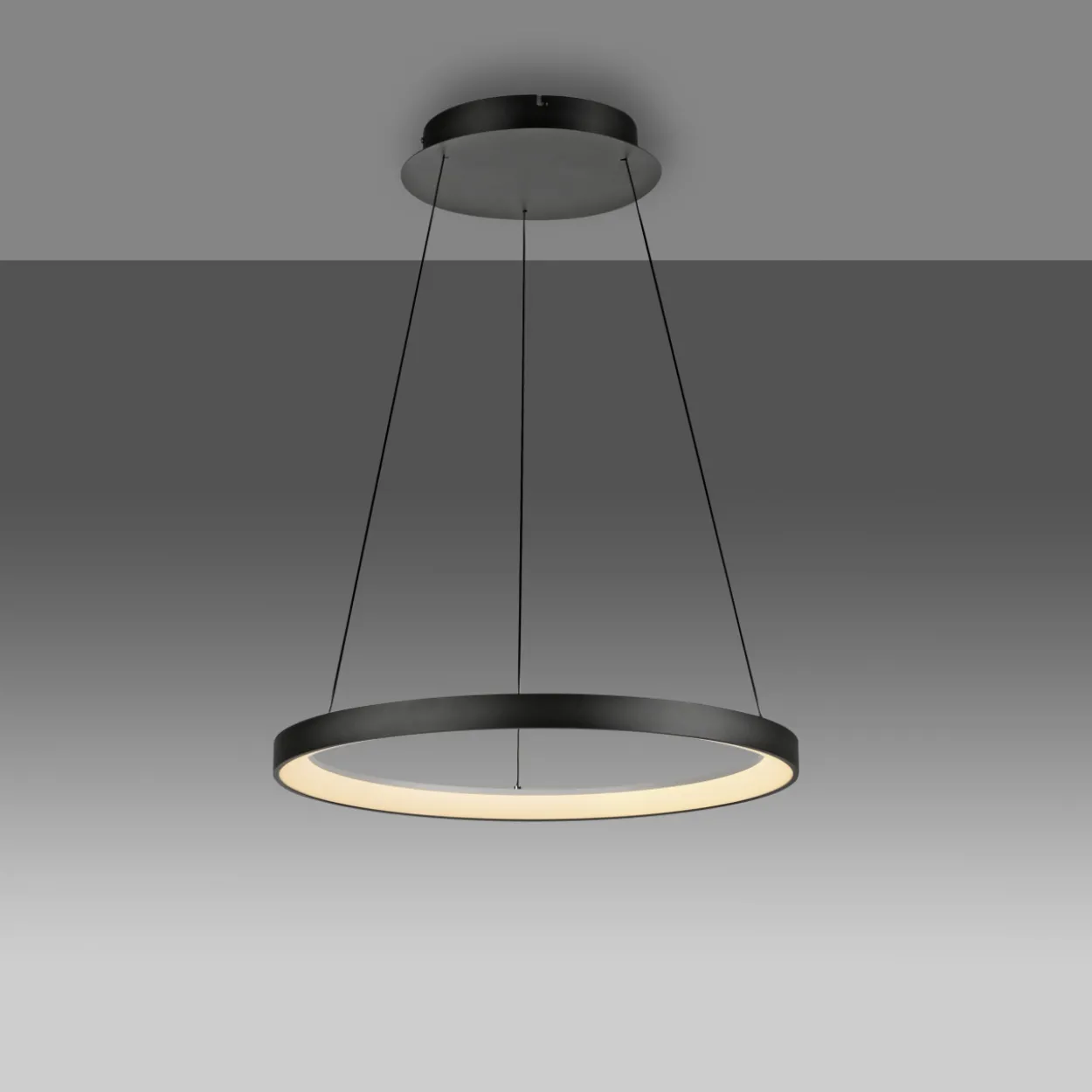 Pendelleuchte HOOP LED
