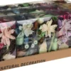 Potpourri MIX