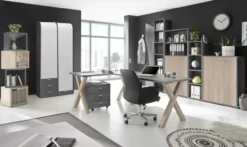 Regal MISTER OFFICE