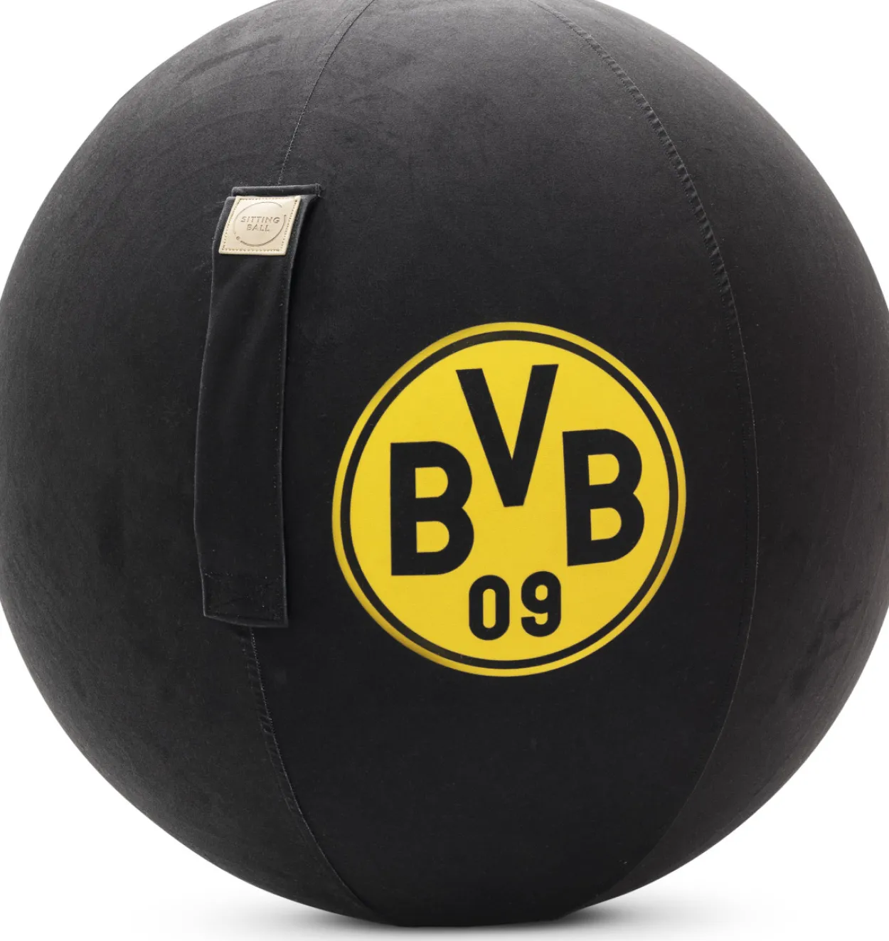 Sitzball BVB 09