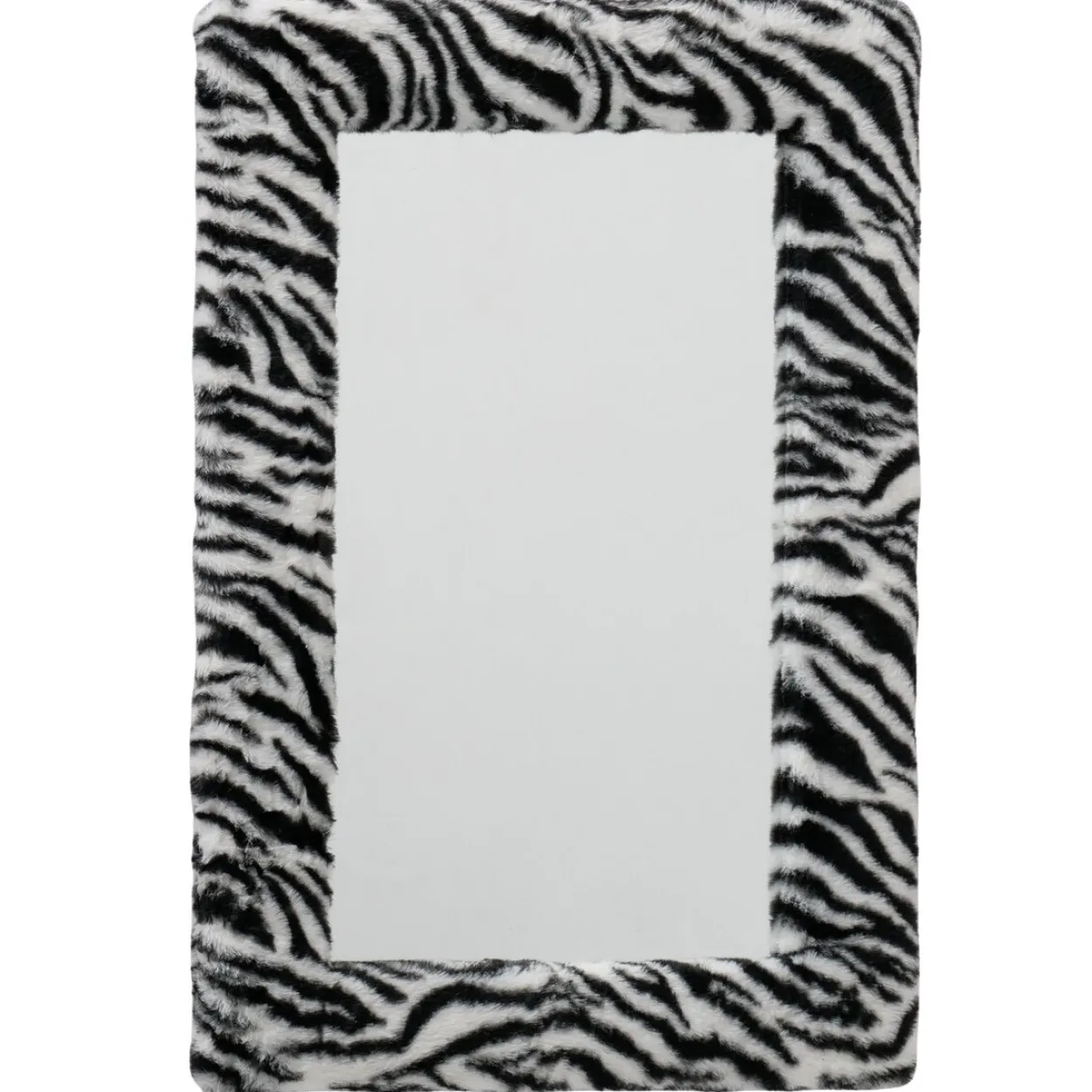 Spiegel ZEBRA