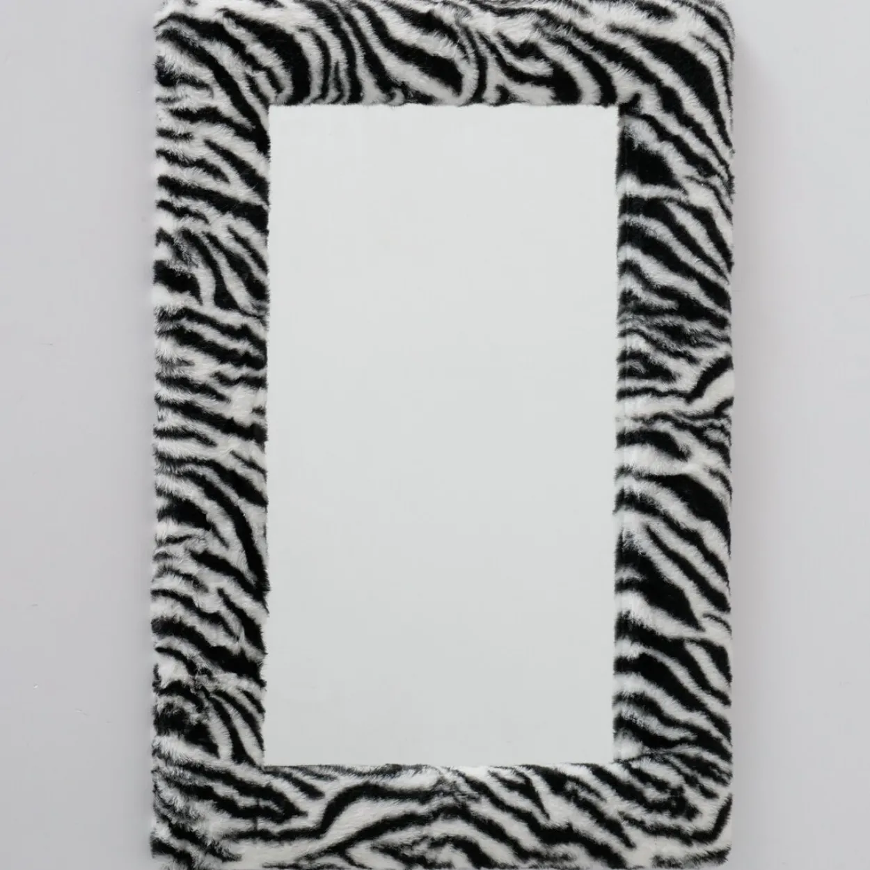 Spiegel ZEBRA