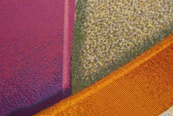 Teppich RANTUM BEACH multi
