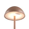 Tischleuchte RICARO LED AKKU