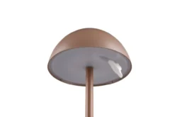 Tischleuchte RICARO LED AKKU