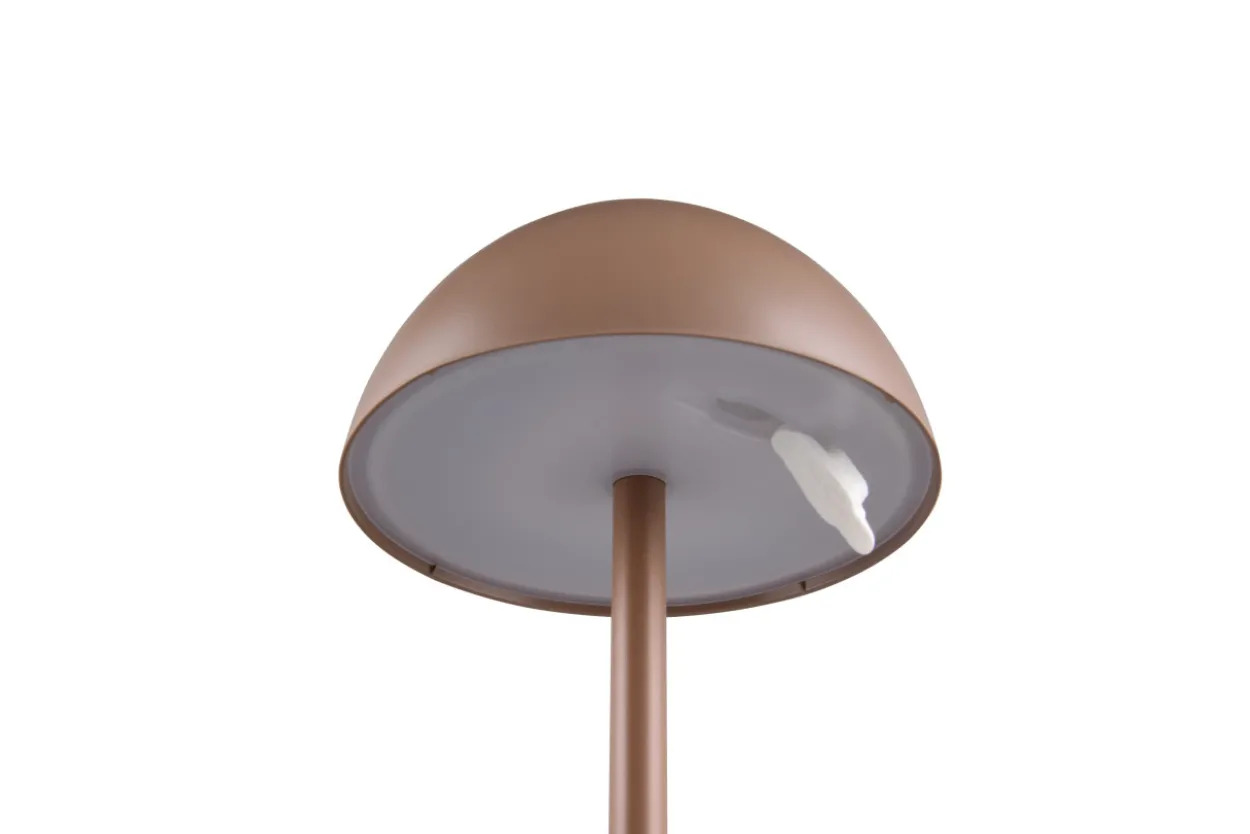 Tischleuchte RICARO LED AKKU