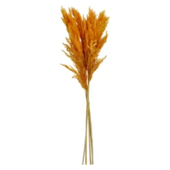 Trockenblume PAMPASGRAS orange