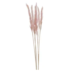 Trockenblume PAMPASGRAS pink