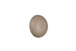 Wandleuchte LED DAVEY beige