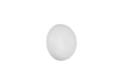 Wandleuchte LED DAVEY weiss